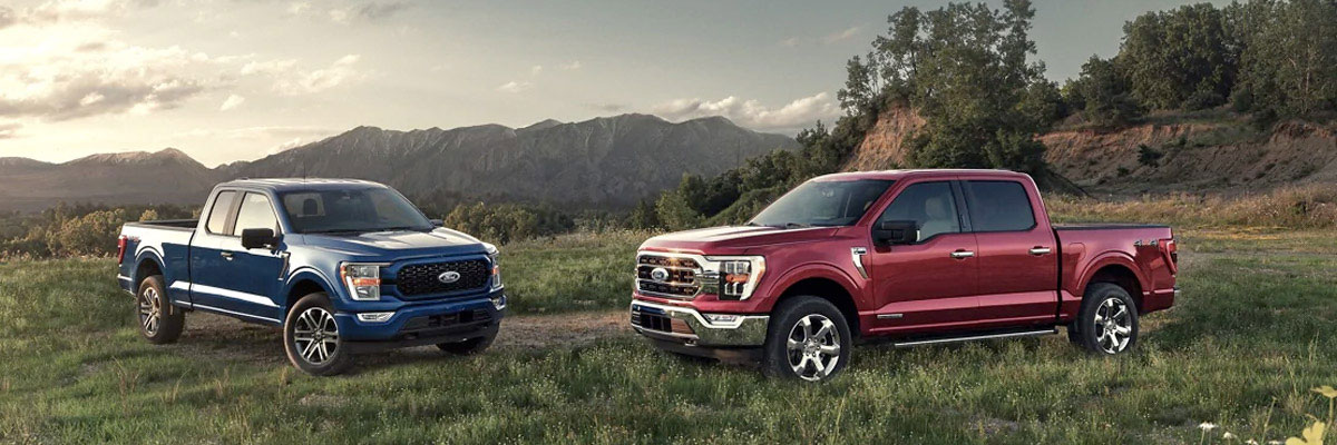 Two New 2021 Ford F-150 parked ontop of scenic hill
