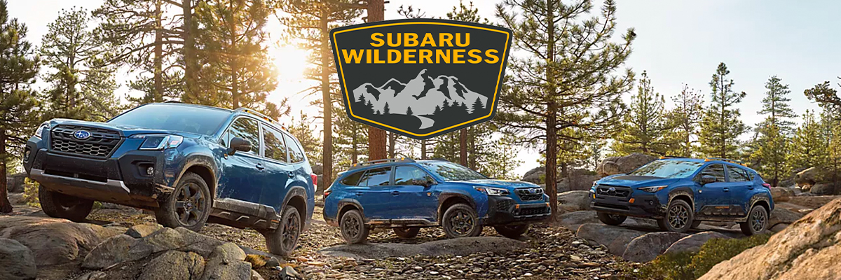 Subaru Wilderness Lineup with the Subaru Wilderness Logo