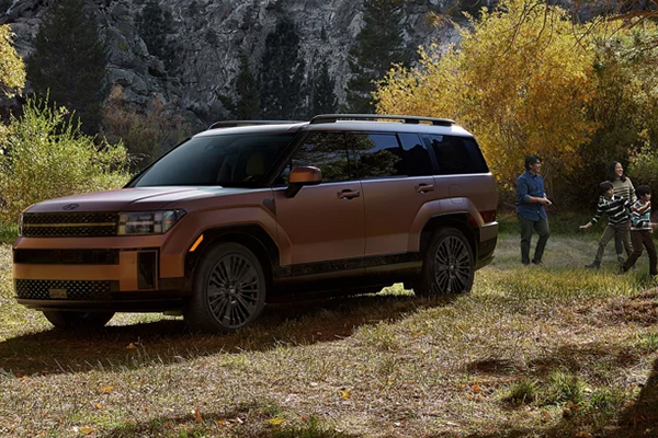 2025 Santa Fe Hybrid pictured in grassy area