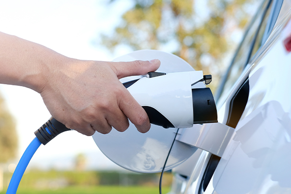 Electric car or ev is charging at station. Man use the white power cable and plug on nature background.