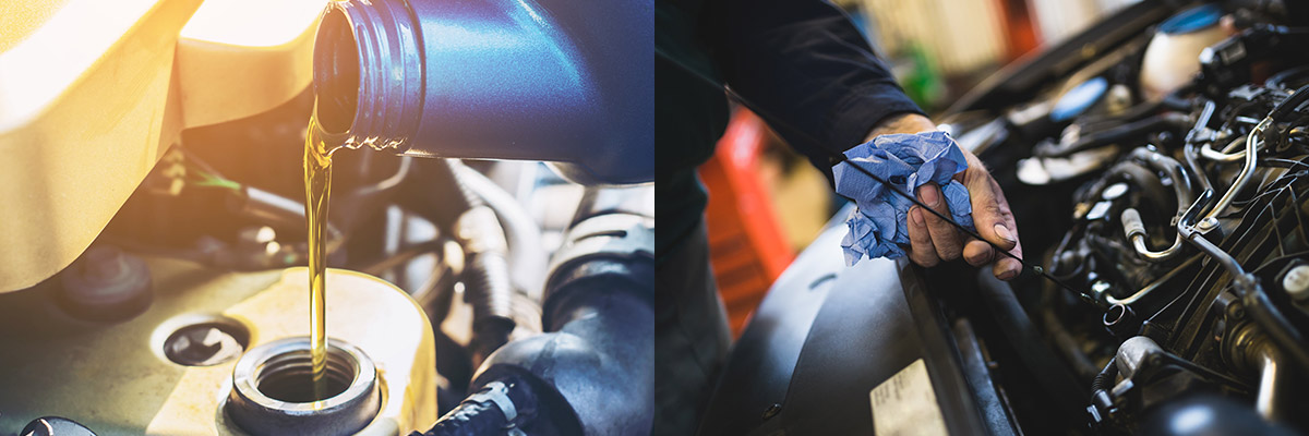 auto technician checking vehicle engine oil to see if it's dirty or clean