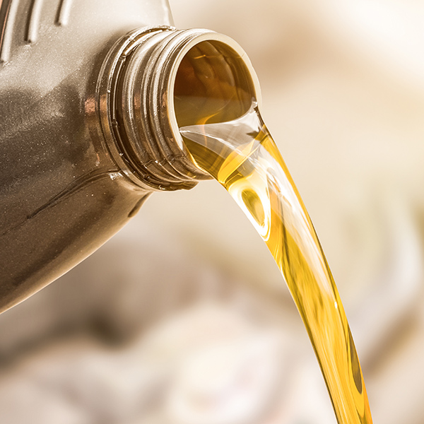 Ford oil change and filter service